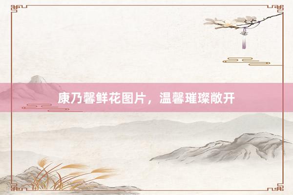 康乃馨鲜花图片，温馨璀璨敞开