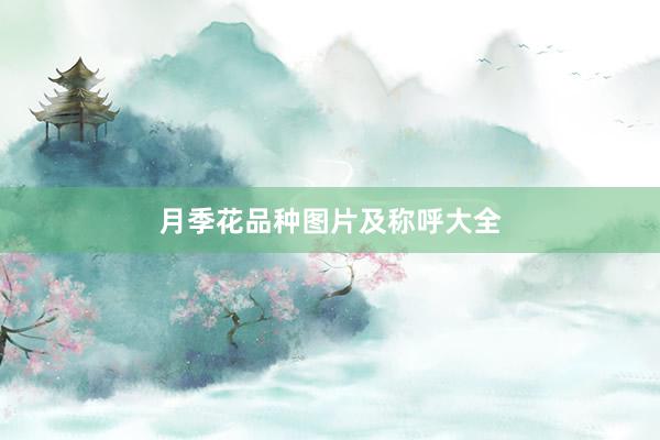 月季花品种图片及称呼大全