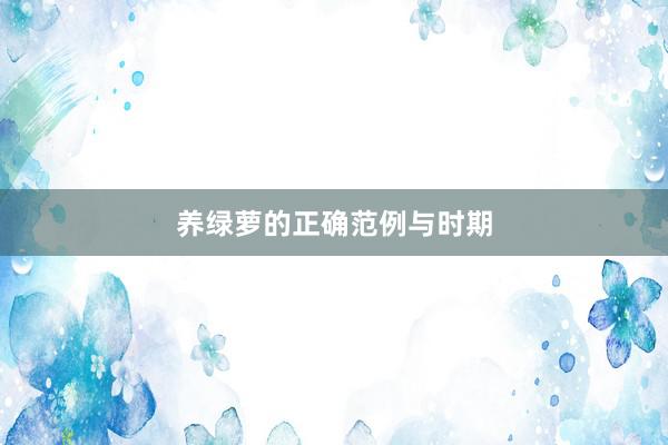 养绿萝的正确范例与时期